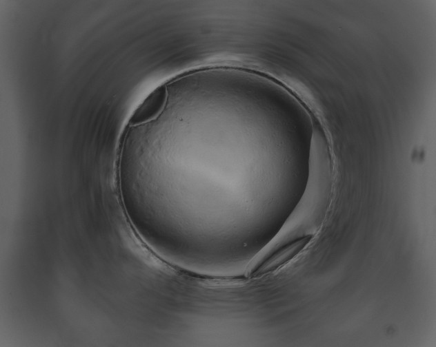 X0000091681296200708231408