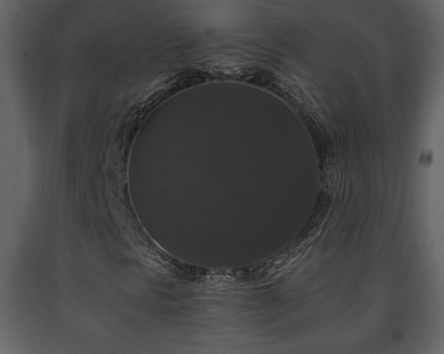 X0000091681297200708231407