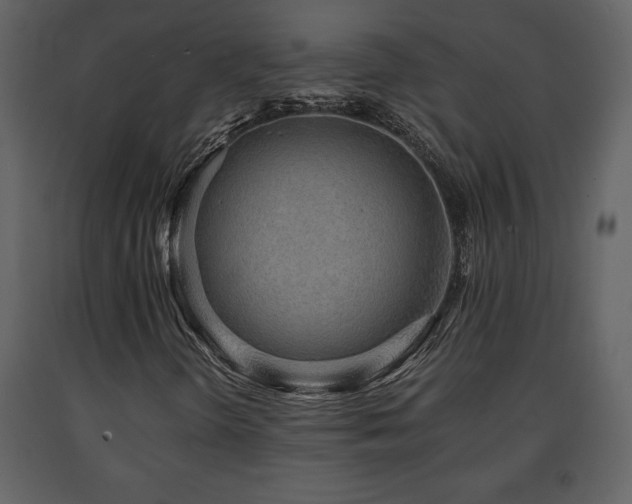 X0000091681298200708231407