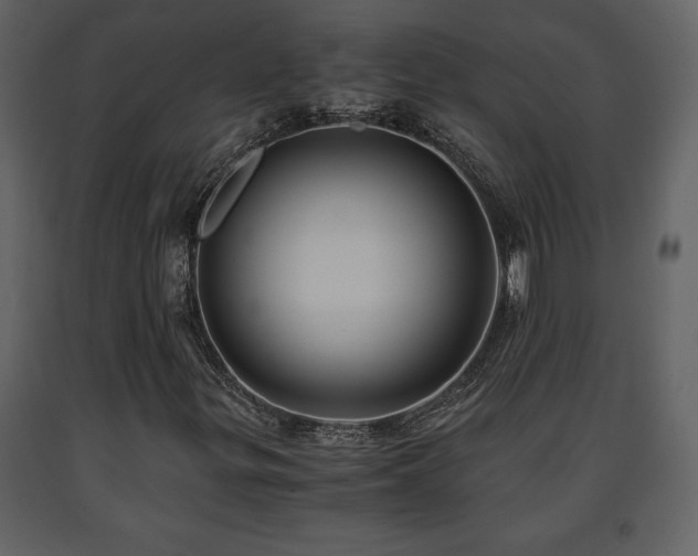 X0000091681299200708231407