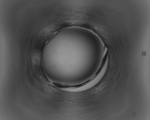 X0000091681300200708231407