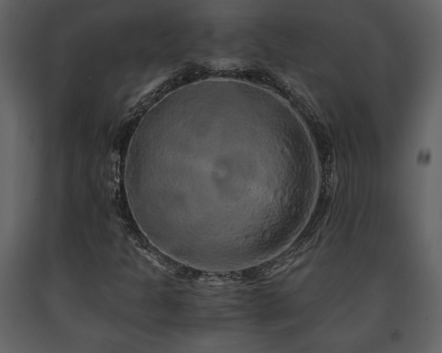 X0000091681301200708231407