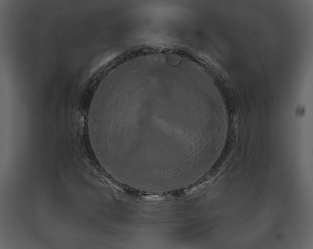 X0000091681302200708231407