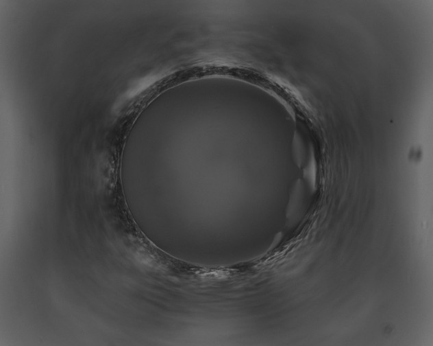 X0000091681303200708231407