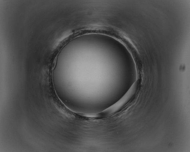 X0000091681304200708231407