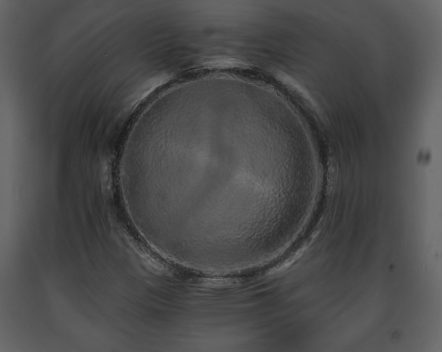 X0000091681305200708231407