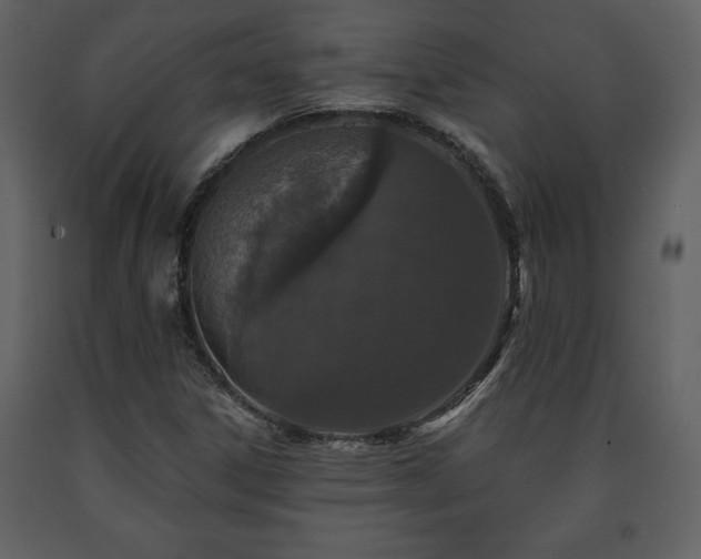 X0000091681306200708231407