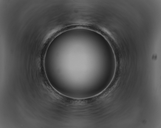 X0000091681307200708231407