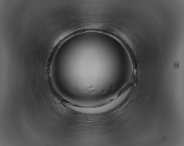 X0000091681308200708231407