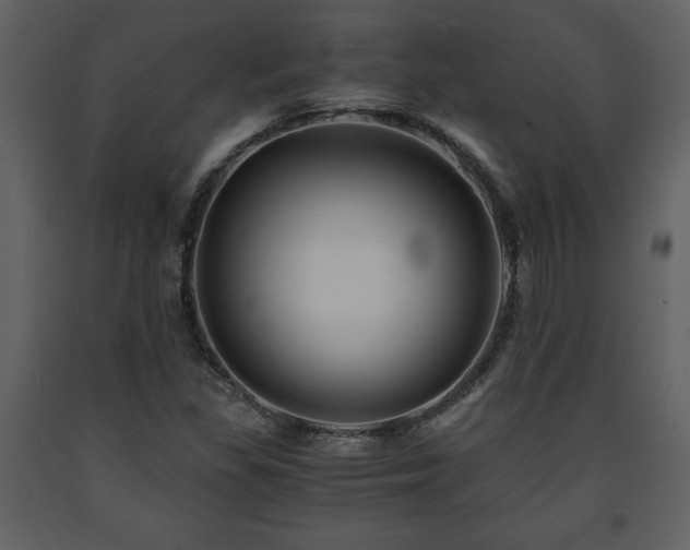 X0000091681309200708231407