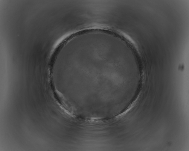 X0000091681310200708231407