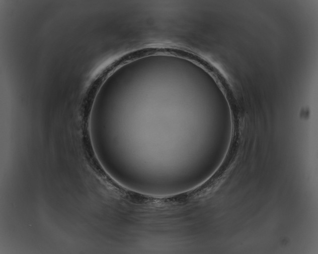 X0000091681311200708231407