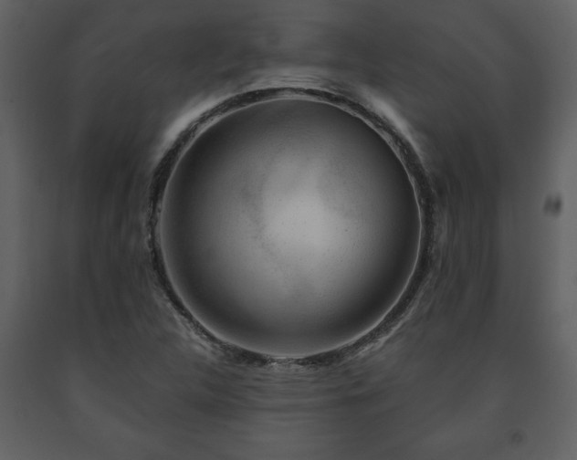 X0000091681312200708231407