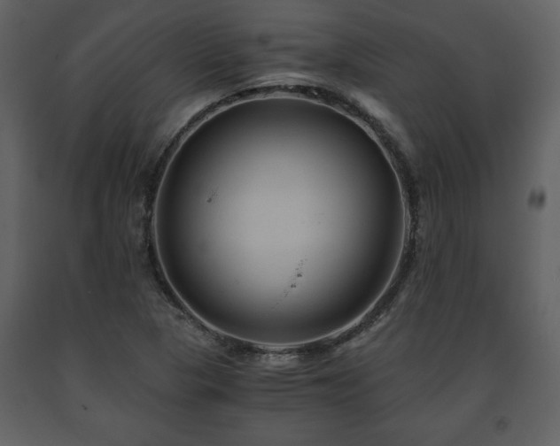 X0000091681313200708231407