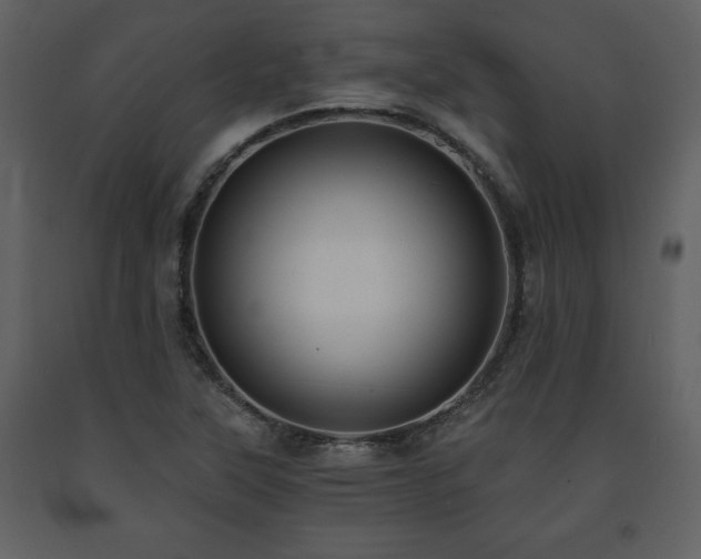 X0000091681315200708231407