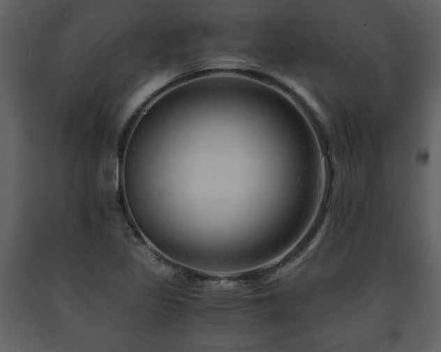 X0000091681317200708231407