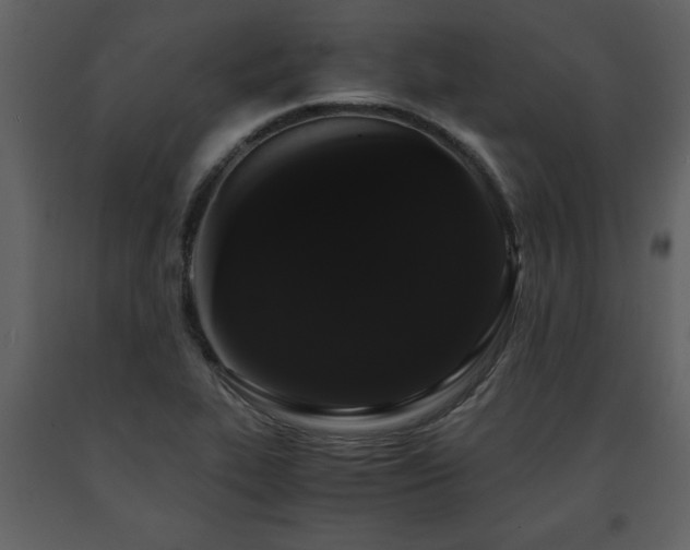 X0000091681319200708231407