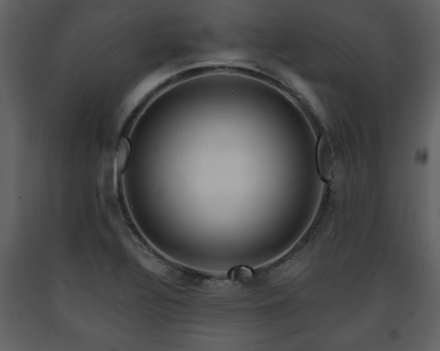 X0000091681320200708231407