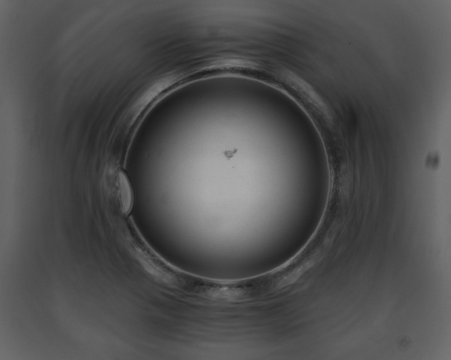 X0000091681321200708231407