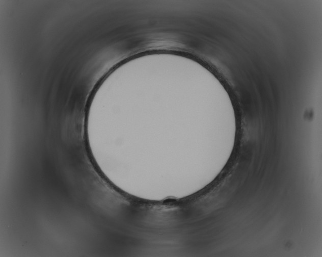X0000091681322200708231408
