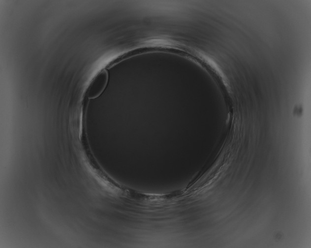 X0000091681323200708231408
