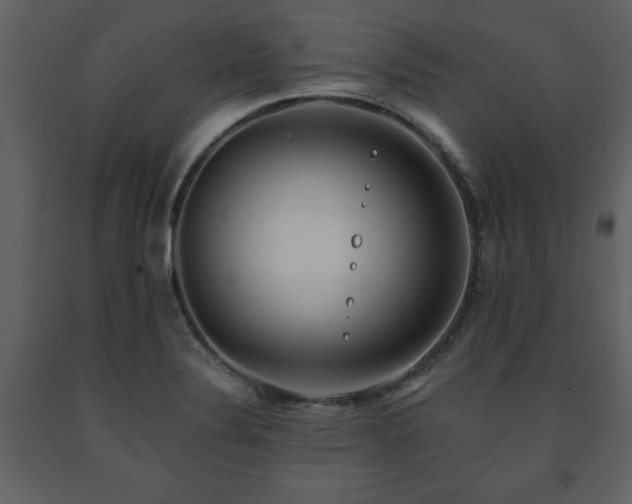 X0000091681324200708231408