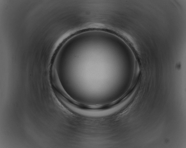X0000091681326200708231408