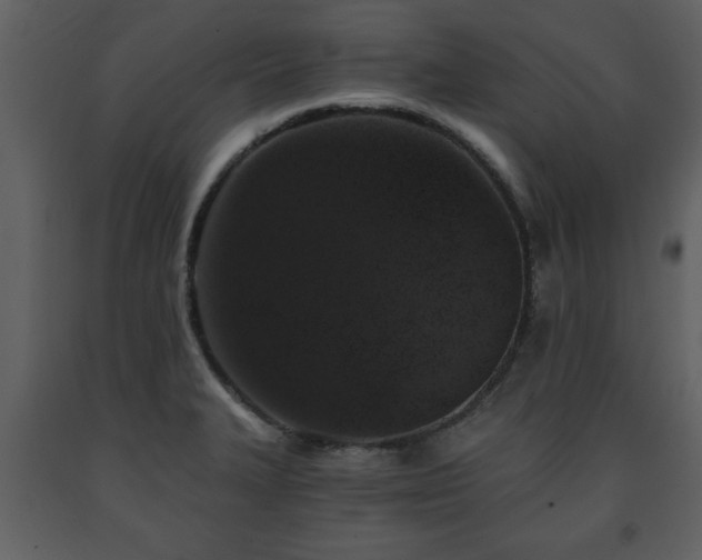X0000091681327200708231408