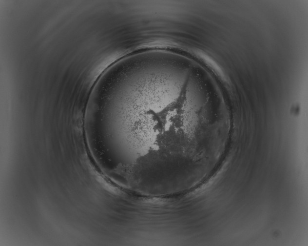 X0000091681329200708231408