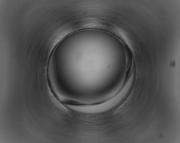X0000091681330200708231408