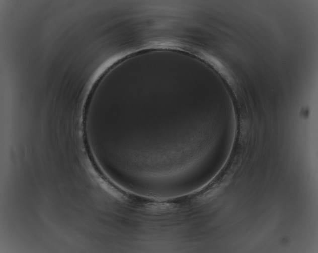 X0000091681331200708231408