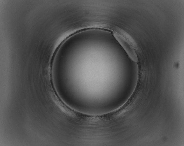 X0000091681332200708231408
