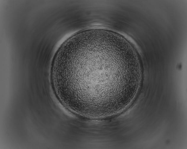 X0000091681333200708231408