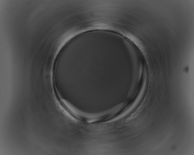 X0000091681334200708231408