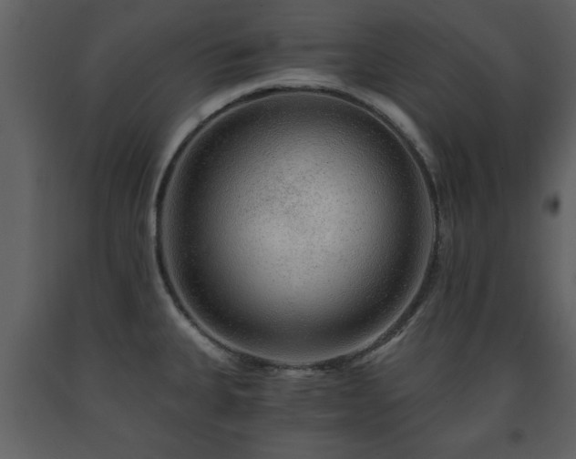 X0000091681335200708231408