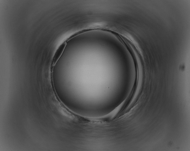 X0000091681336200708231408
