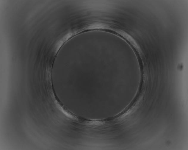 X0000091681337200708231408