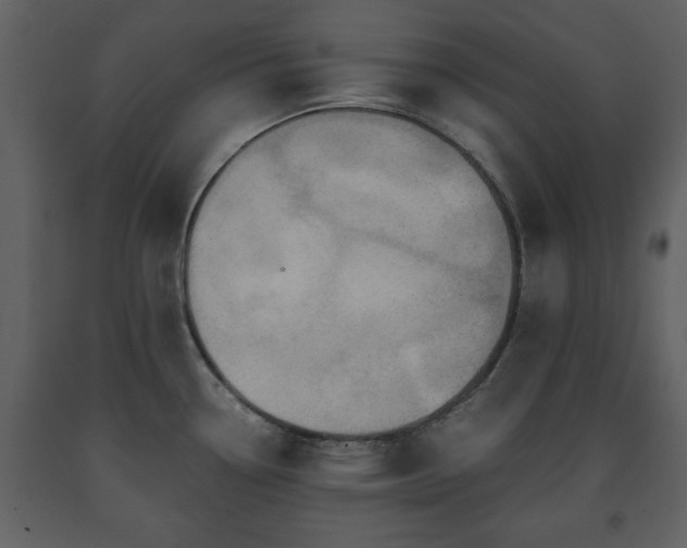 X0000091681338200708231408