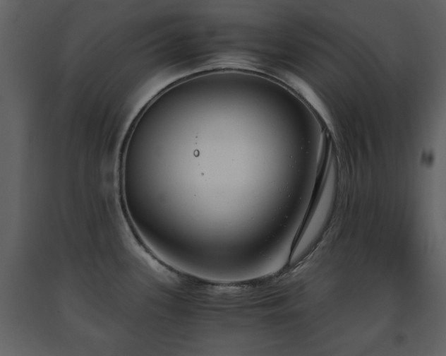 X0000091681339200708231408