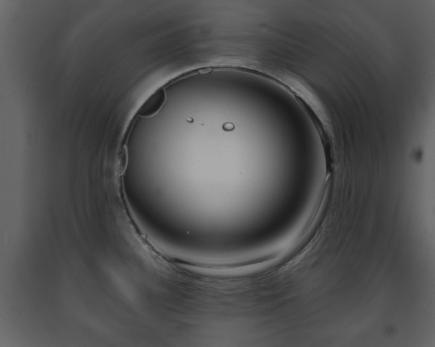 X0000091681340200708231408