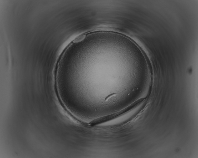 X0000091681341200708231408