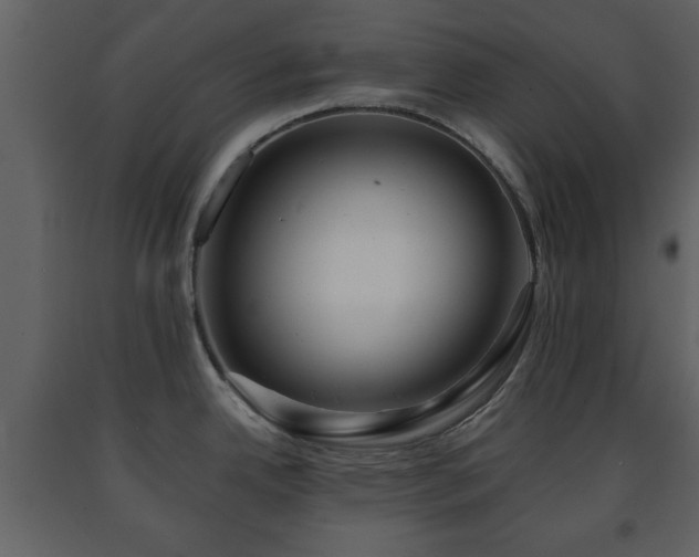 X0000091681342200708231408