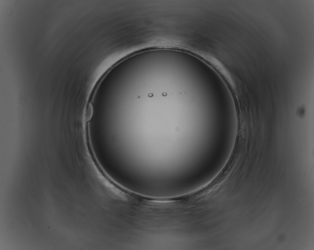X0000091681343200708231408