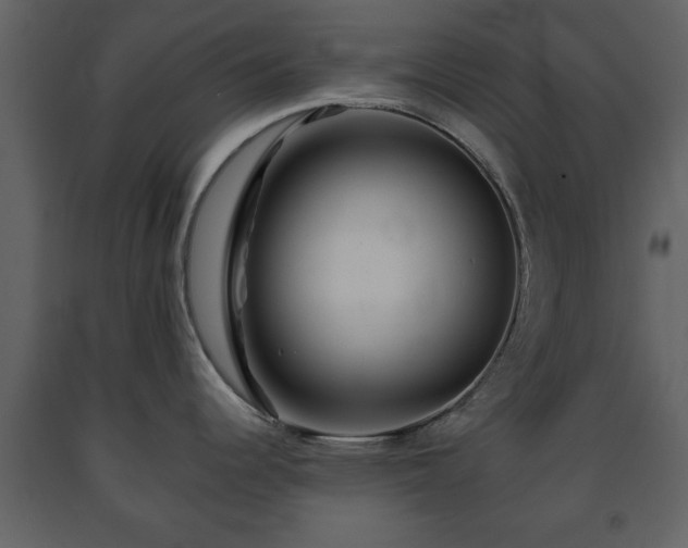 X0000091681344200708231408