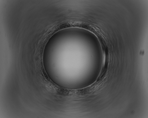 X0000091681345200708231407