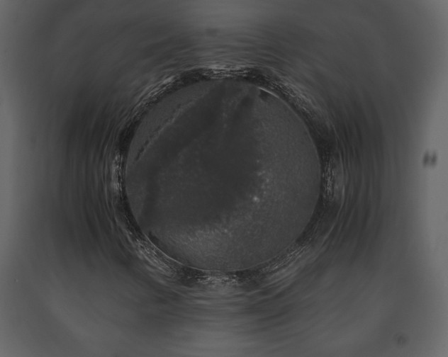 X0000091681346200708231407