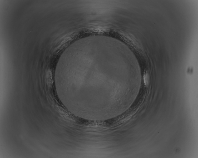 X0000091681347200708231407