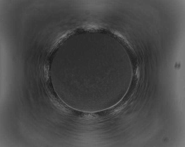 X0000091681348200708231407