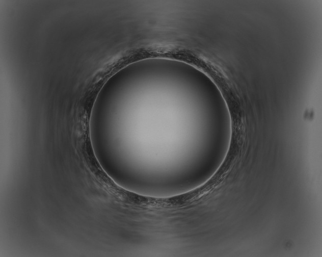 X0000091681349200708231407