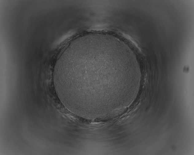 X0000091681350200708231407